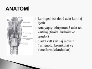  Laringeal iskelet 9 adet kartilaj
içerir
 Ana yapıyı oluşturan 3 adet tek
kartilaj (tiroid , krikoid ve
epiglot)
 3 adet çift kartilaj mevcut
( aritenoid, kornikulat ve
kuneiform kıkırdaklar)
 