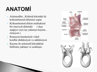 Aritenoidler , Krikoid kıkırdak ile
krikoaritenoid eklemini yapar.
 Krikoariteniod eklem multiaksial
bir sinovyal eklemdir ( dışa
aşağıya veya içe yukarıya kayma ,
rotasyon )
 Rotasyon hareketiyle vokal
kordlar abduksiyon ve adduksiyon
 Kayma ile aritenoid kıkırdaklar
birbirine yaklaşır ve uzaklaşır.
 