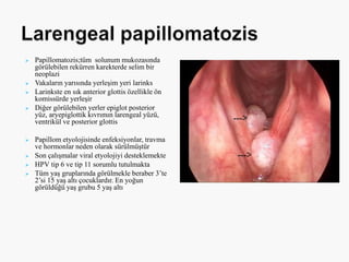  Papillomatozis;tüm solunum mukozasında
görülebilen rekürren karekterde selim bir
neoplazi
 Vakaların yarısında yerleşim yeri larinks
 Larinkste en sık anterior glottis özellikle ön
komissürde yerleşir
 Diğer görülebilen yerler epiglot posterior
yüz, aryepiglottik kıvrımın larengeal yüzü,
ventrikül ve posterior glottis
 Papillom etyolojisinde enfeksiyonlar, travma
ve hormonlar neden olarak sürülmüştür
 Son çalışmalar viral etyolojiyi desteklemekte
 HPV tip 6 ve tip 11 sorumlu tutulmakta
 Tüm yaş gruplarında görülmekle beraber 3’te
2’si 15 yaş altı çocuklardır. En yoğun
görüldüğü yaş grubu 5 yaş altı
 