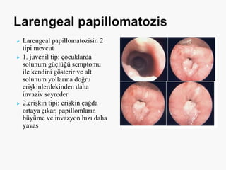  Larengeal papillomatozisin 2
tipi mevcut
 1. juvenil tip: çocuklarda
solunum güçlüğü semptomu
ile kendini gösterir ve alt
solunum yollarına doğru
erişkinlerdekinden daha
invaziv seyreder
 2.erişkin tipi: erişkin çağda
ortaya çıkar, papillomların
büyüme ve invazyon hızı daha
yavaş
 