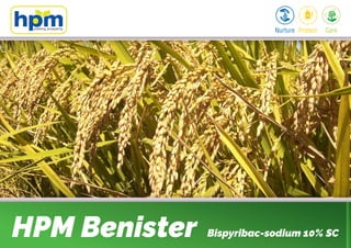 HPM Benister Bispyribac-sodium 10% SC
 