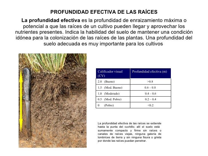 Evaluación Visual de Suelos (EVS)
