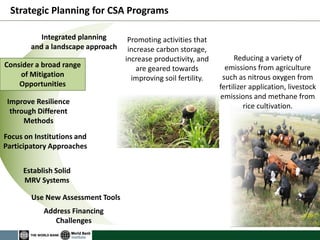 Benitez CSA planning at the World Bank july 2012