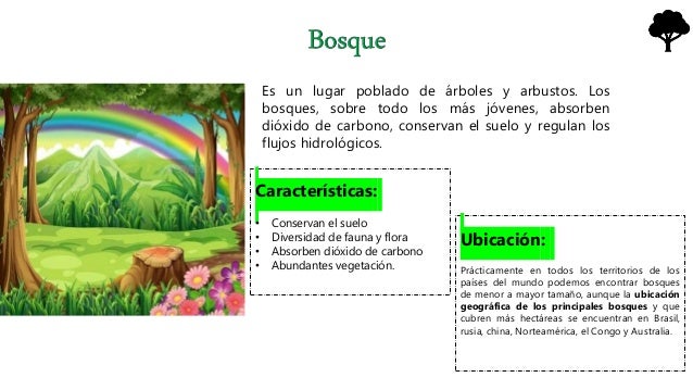 Regiones naturales del mundo.