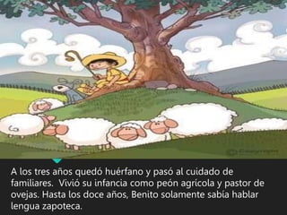 A los tres años quedó huérfano y pasó al cuidado de
familiares. Vivió su infancia como peón agrícola y pastor de
ovejas. Hasta los doce años, Benito solamente sabía hablar
lengua zapoteca.
 