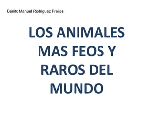 LOS ANIMALES
MAS FEOS Y
RAROS DEL
MUNDO
Benito Manuel Rodriguez Freites
 