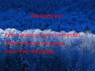 Regresó a Italia en 1904 y ejerció como profesor en varios colegios