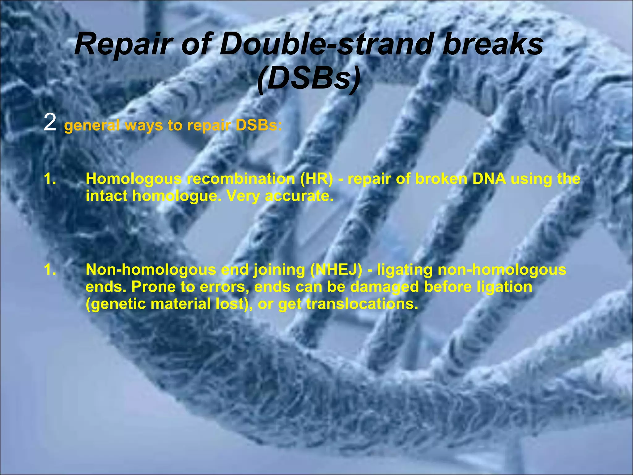 DNA DAMAGE,REPAIR,RECOMBINATION | PPT | Genetics | Science