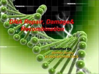 DNA Repair, Damage&
Recombination
Submitted By,Submitted By,
Benitta BennyBenitta Benny
S1 BIOINFORMATICSS1 BIOINFORMATICS
 