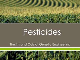      
The Ins and Outs of Genetic Engineering
 