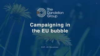 1
E C F, 2 9 N o v e m b e r
Campaigning in 
the EU bubble
 