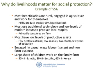 Why do livelihoods matter for social protection?
Example of SSA
• Most beneficiaries are rural, engaged in agriculture
and...