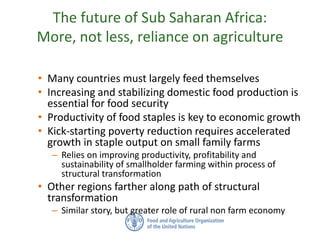The future of Sub Saharan Africa:
More, not less, reliance on agriculture
• Many countries must largely feed themselves
• ...
