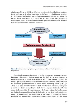 DANIEL LAPRESA, JAVIER ARANA, JESÚS CARAZO




citados por Navarro (2001, p. 46), esta predisposición del niño al metabo-
lismo aeróbico (reflejada gráficamente en la figura 11), facilita que sus nive-
les de desempeño fisiológico sean fundamentalmente aeróbicos en función
de una mayor preferencia en la utilización oxidativa de los lípidos, evitando
la necesidad adulta de depender del sistema glucolítico anaeróbico para rea-
lizar esfuerzos intensos de cierta duración.




Figura 11. Representación gráfica del predominio aeróbico de prebenjamines y
benjamines.


   Completa la anterior afirmación el hecho de que, en las categorías pre-
benjamín y benjamín e incluso antes –de 4 a 5 años–, se ha constatado la
entrenabilidad de la resistencia aeróbica. Ahora bien, hemos de tener en
cuenta que nos encontramos trabajando con niños y que un trabajo extensi-
vo de carrera puede inducirles al tedio. Según Beraldo y Polleti (1991, p.
104), en el niño el verdadero límite de la resistencia al esfuerzo prolongado
y monótono deriva esencialmente de factores psíquicos de inestabilidad así
como de la necesidad de jugar siempre y de forma variada. De hecho, cuan-
do el niño de esta edad juega la actividad lúdica se convierte en lo más impor-
tante y serio del momento, por lo que se vuelca en el juego empleándose
conforme sus posibilidades. Aprovechando esta característica, el entrenador


                                                                                      39
 