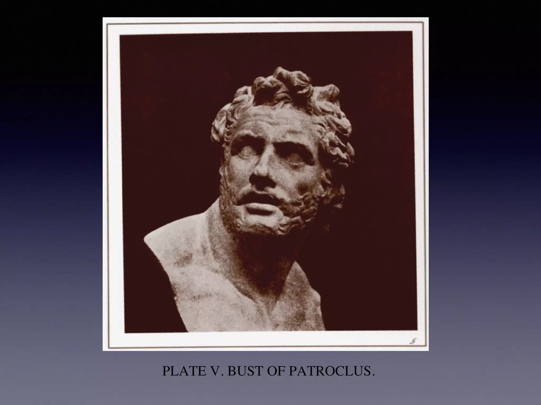 PLATE V. BUST OF PATROCLUS.
 