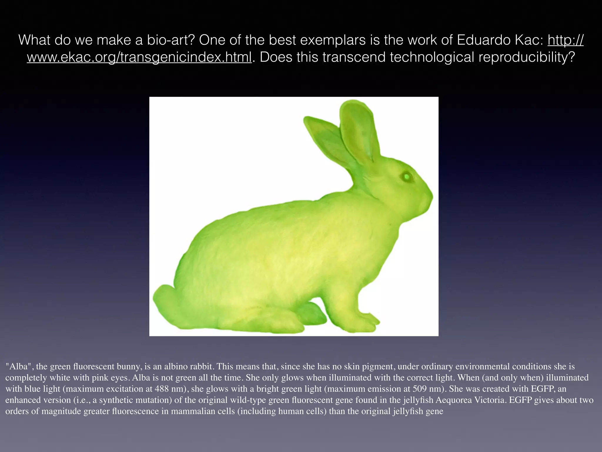 "Alba", the green ﬂuorescent bunny, is an albino rabbit. This means that, since she has no skin pigment, under ordinary environmental conditions she is
completely white with pink eyes. Alba is not green all the time. She only glows when illuminated with the correct light. When (and only when) illuminated
with blue light (maximum excitation at 488 nm), she glows with a bright green light (maximum emission at 509 nm). She was created with EGFP, an
enhanced version (i.e., a synthetic mutation) of the original wild-type green ﬂuorescent gene found in the jellyﬁsh Aequorea Victoria. EGFP gives about two
orders of magnitude greater ﬂuorescence in mammalian cells (including human cells) than the original jellyﬁsh gene
What do we make a bio-art? One of the best exemplars is the work of Eduardo Kac: http://
www.ekac.org/transgenicindex.html. Does this transcend technological reproducibility?
 