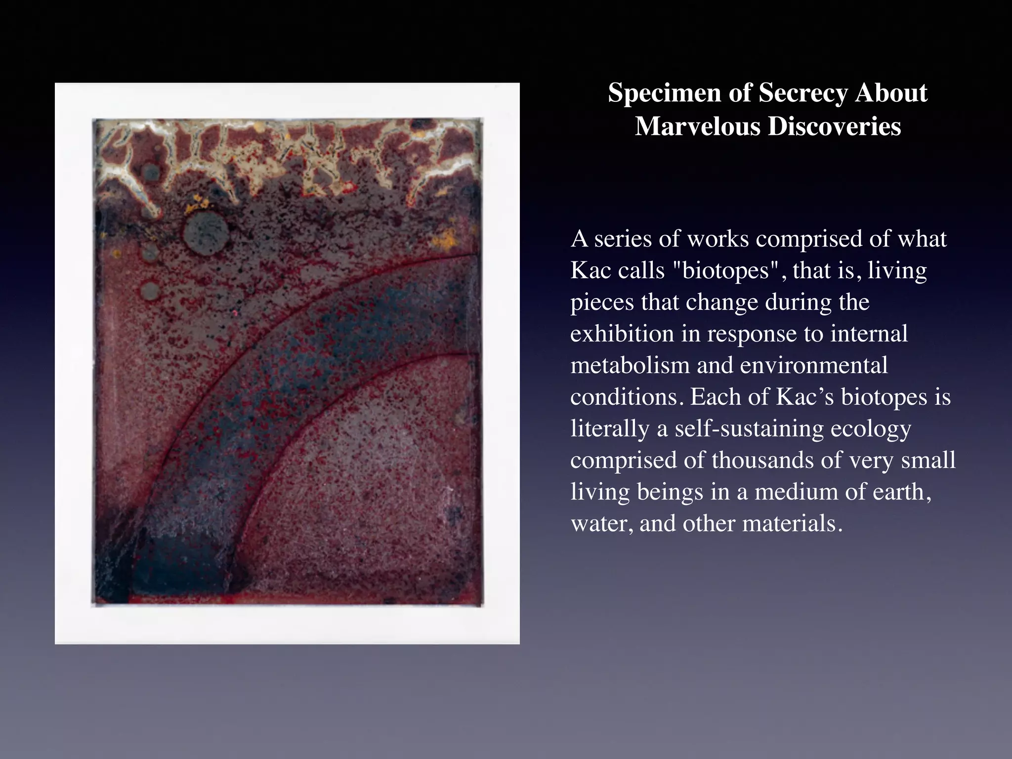 Specimen of Secrecy About
Marvelous Discoveries	

A series of works comprised of what
Kac calls "biotopes", that is, living
pieces that change during the
exhibition in response to internal
metabolism and environmental
conditions. Each of Kac’s biotopes is
literally a self-sustaining ecology
comprised of thousands of very small
living beings in a medium of earth,
water, and other materials.
 