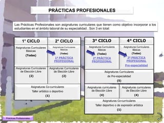 PRÁCTICAS PROFESIONALES


        Las Prácticas Profesionales son asignaturas curriculares que tienen como objetivo incorporar a los
        estudiantes en el ámbito laboral de su especialidad . Son 3 en total:



               1° CICLO                       2° CICLO                     3° CICLO                          4° CICLO
         Asignaturas Curriculares           Asignaturas Curriculares    Asignaturas Curriculares          Asignaturas Curriculares
                 Básicas
                                                    Básicas                     Básicas                           Básicas
                                                   (Todas)                     (Todas)                           (Todas)
                  (Todas)
                                             1ª PRÁCTICA                   2ª PRÁCTICA                      3ª PRÁCTICA
                                             PROFESIONAL                  PROFESIONAL                       PROFESIONAL
                                                                                                           Pre-especialidad
         Asignaturas Curriculares        Asignaturas Curriculares
            de Elección Libre                de Elección Libre                         Asignaturas Curriculares
                      (2)                            (2)                                 de Pre-especialidad
                                                                                                   (5)

                          Asignaturas Co-curriculares                  Asignaturas curriculares          Asignaturas curriculares
                          Taller artístico o deportivo                    de Elección Libre                 de Elección Libre
                                      (1)                                        (4)                                (4)

                                                                                    Asignaturas Co-curriculares
                                                                             Taller deportivo o de expresión artística
                                                                                                   (1)


Prácticas Profesionales
 