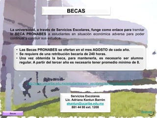 BECAS


La universidad, a través de Servicios Escolares, funge como enlace para tramitar
la BECA PRONABES a estudiantes en situación económica adversa para poder
continuar y concluir sus estudios.


        • Las Becas PRONABES se ofertan en el mes AGOSTO de cada año.
        • Se requiere de una retribución becaria de 240 horas.
        • Una vez obtenida la beca, para mantenerla, es necesario ser alumno
          regular. A partir del tercer año es necesario tener promedio mínimo de 8.




              http://www.unicaribe.edu.mx/estudiantes/serv_escolares/admision/becas.html



                                            Servicios Escolares
                                        Lic. Adriana Kantun Barrón
                                         akantun@ucaribe.edu.mx
                                             881 44 00 ext. 1208
                                                                                           Regresar
Becas
 
