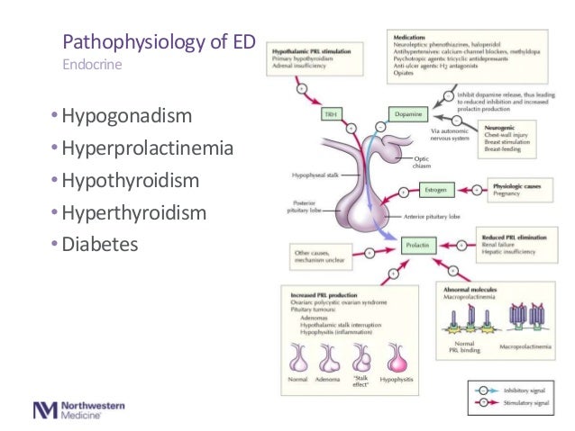 Phenytoin Erectile Dysfunction