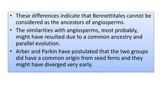 • These differences indicate that Bennettitales cannot be
considered as the ancestors of angiosperms.
• The similarities with angiosperms, most probably,
might have resulted due to a common ancestry and
parallel evolution.
• Arber and Parkin have postulated that the two groups
did have a common origin from seed ferns and they
might have diverged very early.
 