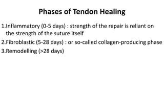 Phases of Tendon Healing
1.Inflammatory (0-5 days) : strength of the repair is reliant on
the strength of the suture itself
2.Fibroblastic (5-28 days) : or so-called collagen-producing phase
3.Remodelling (>28 days)
 