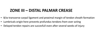 ZONE III – DISTAL PALMAR CREASE
• B/w transverse carpal ligament and proximal margin of tendon sheath formation
• Lumbricals origin here prevents profundus tendons from over acting
• Delayed tendon repairs are succesfull even after several weeks of injury
 