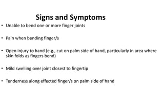 Signs and Symptoms
• Unable to bend one or more finger joints
• Pain when bending finger/s
• Open injury to hand (e.g., cut on palm side of hand, particularly in area where
skin folds as fingers bend)
• Mild swelling over joint closest to fingertip
• Tenderness along effected finger/s on palm side of hand
 
