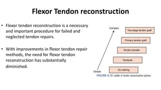 Flexor Tendon reconstruction
• Flexor tendon reconstruction is a necessary
and important procedure for failed and
neglected tendon repairs.
• With improvements in ﬂexor tendon repair
methods, the need for ﬂexor tendon
reconstruction has substantially
diminished.
 