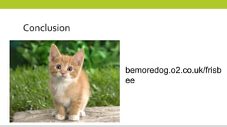 Conclusion
bemoredog.o2.co.uk/frisb
ee
 