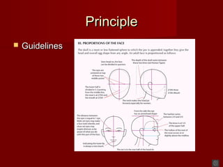 PrinciplePrinciple
 GuidelinesGuidelines
 