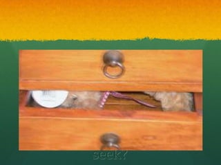 Where are You
going Henry is it hide and
seek?
 