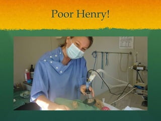 Poor Henry!
 
