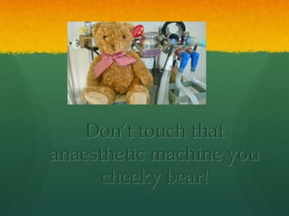 Don’t touch that
anaesthetic machine you
cheeky bear!
 