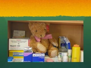 You Cheeky Bear That’s a
Vet’s Only cupboard!
 