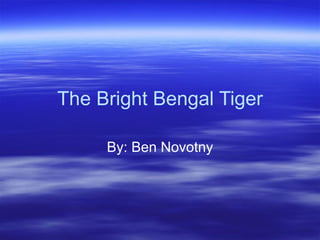 The Bright Bengal Tiger By: Ben Novotny 