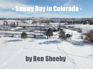- Snowy Day in Colorado -
by Ben Sheehy
 