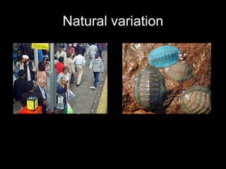 Natural variation 