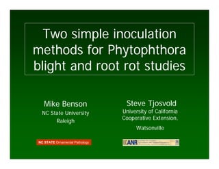 Two simple inoculation
methods for Phytophthora
blight and root rot studies

    Mike Benson                   Steve Tjosvold
  NC State University            University of California
                                 Cooperative Extension,
       Raleigh
                                       Watsonville

 NC STATE Ornamental Pathology
 