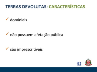 TERRAS DEVOLUTAS: CARACTERÍSTICAS
 dominiais
 não possuem afetação pública
 são imprescritíveis
 