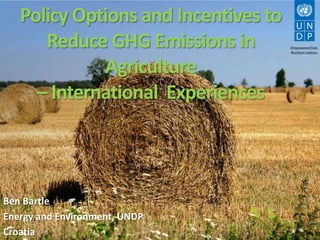Policy Options and Incentives to
      Reduce GHG Emissions in
             Agriculture
     – International Experiences



Ben Bartle
Energy and Environment, UNDP
Croatia
 