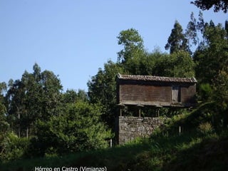 Hórreo en Castro (Vimianzo) 