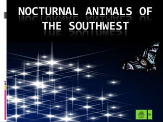 NOCTURNAL ANIMALS OF
    THE SOUTHWEST
 