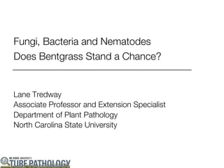 Fungi, Bacteria and Nematodes
Does Bentgrass Stand a Chance?


Lane Tredway
Associate Professor and Extension Specialist
Department of Plant Pathology
North Carolina State University
 