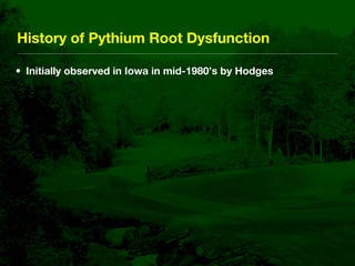 Bentgrass Root Diseases: Diagnosis and Management | KEY