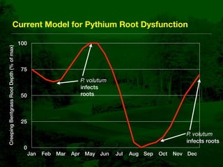 Bentgrass Root Diseases: Diagnosis and Management | KEY