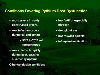 Bentgrass Root Diseases: Diagnosis and Management | KEY