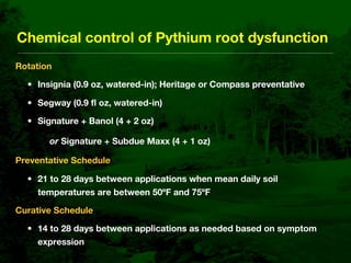 Bentgrass Root Diseases: Diagnosis and Management | KEY