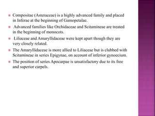  Compositae (Asteraceae) is a highly advanced family and placed
in Inferae at the beginning of Gamopetalae.
 Advanced families like Orchidaceae and Scitamineae are treated
in the beginning of monocots.
 Liliaceae and Amaryllidaceae were kept apart though they are
very closely related.
 The Amaryllidaceae is more allied to Liliaceae but is clubbed with
Scitamineae in series Epigynae, on account of inferior gynoecium.
 The position of series Apocarpae is unsatisfactory due to its free
and superior carpels.
 