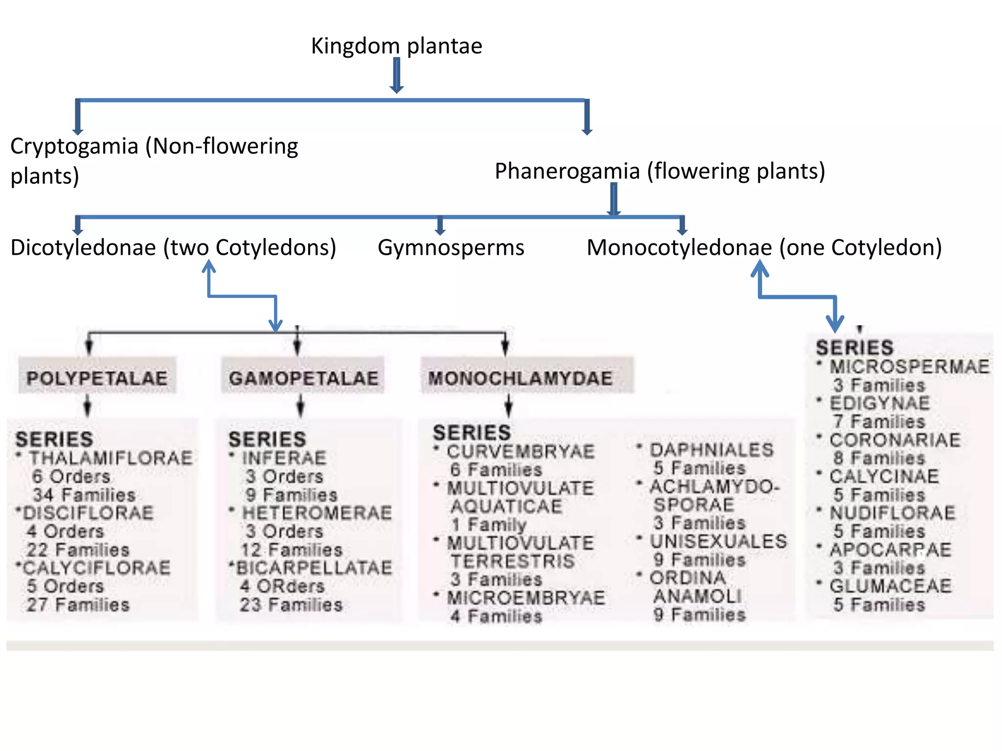 Bentham and hooker system of classification PPT
